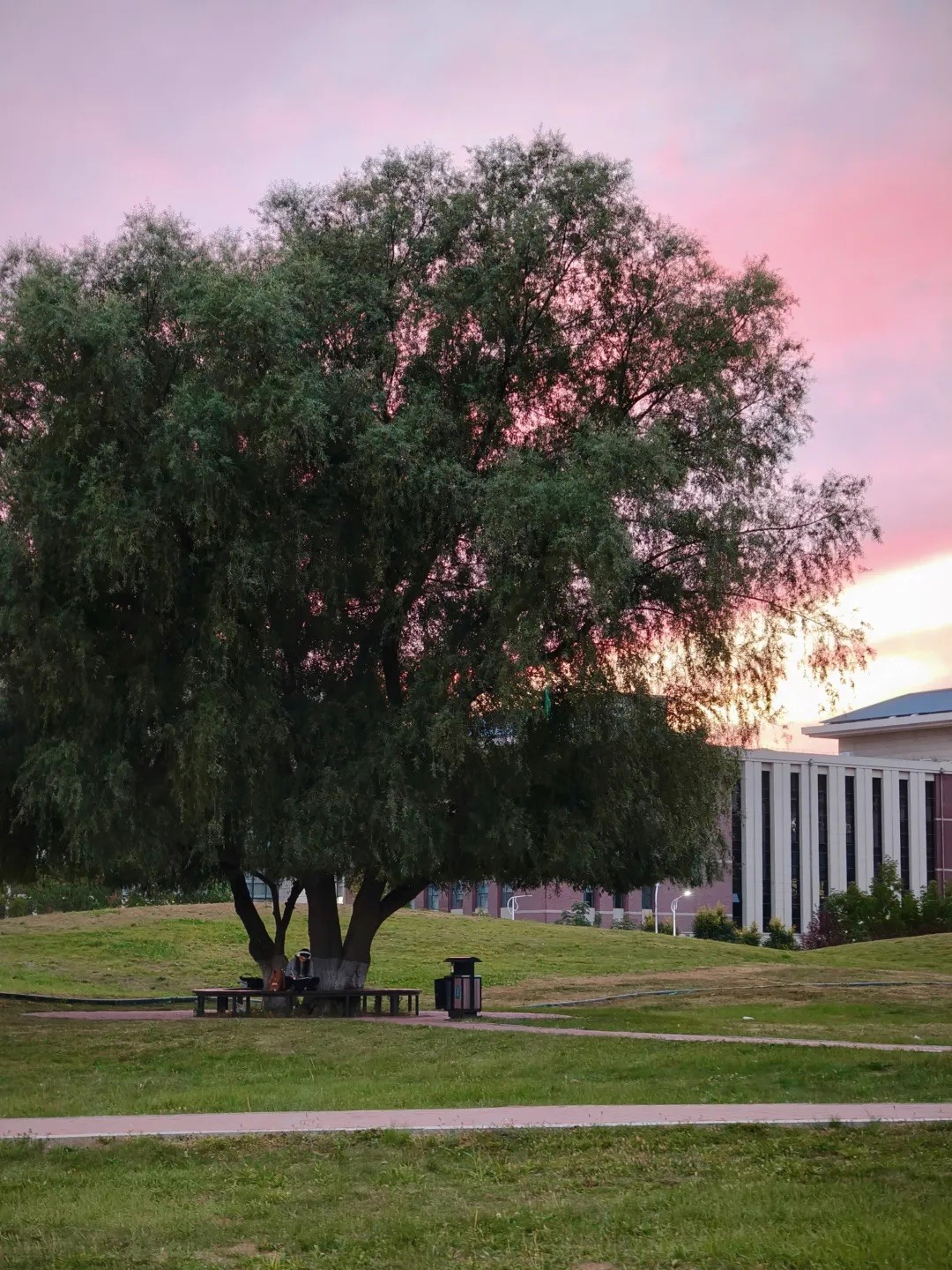 2025年“朋辈协力·心理成长”系列活动——香蕉视频
研究生成功开展两院联动“光影寻静，破‘卷’而出”随手拍大赛